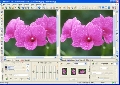 Advanced JPEG Compressor 5.1