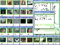Camfrog Video Chat