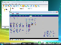 Radmin 3.4 + Viewer