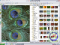 AI Picture Explorer 6.4.0.6030