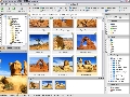 ACDSee Photo Manager 10.0 Build 238 