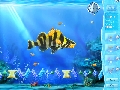 Arctic Quest 2 2.25
