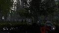 The Forest
