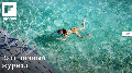 Flipboard (Windows 8.1) 2.0.6.0