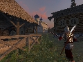 Mount & Blade. Огнем и мечом