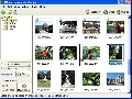 JAlbum 8.8