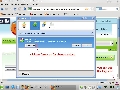 Flagfox 3.3.4