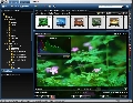 Pictomio 1.0 build 1015