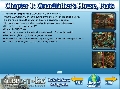 Serpent of Isis: Your Journey Continues Strategy Guide