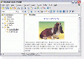 GoldenSection Notes
