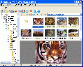 XnView 1.94 Beta 3