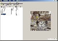 Winmail.dat Reader 1.1