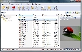 UltimateZip (Portable) 7.0.3.1