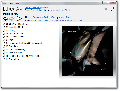 BOOM 1.6.2