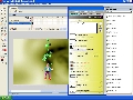Flash MX Installer